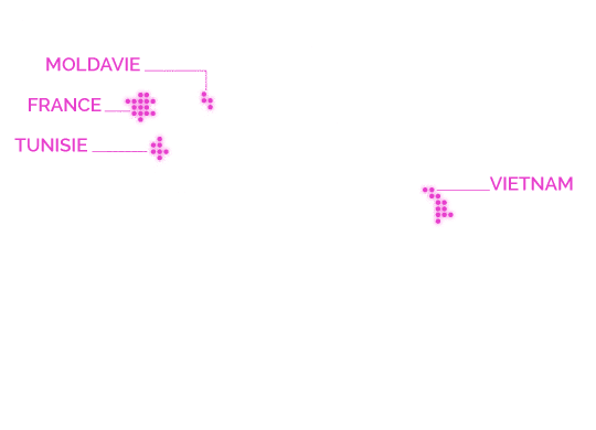 Carte de l’implantation de Tconcept à l’international